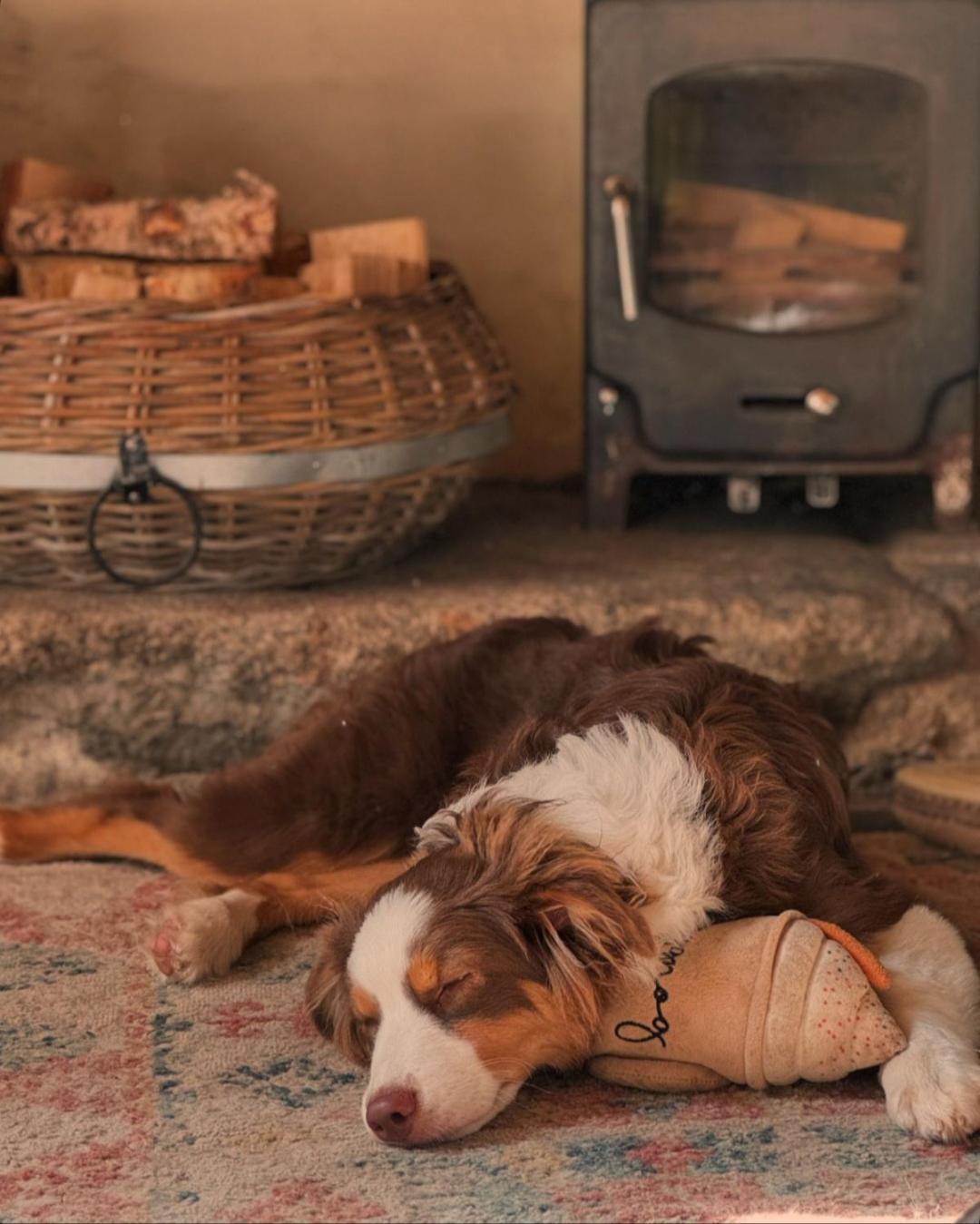 Kitts Cottage, Redruth, Cosy Cornish Retreat Kültér fotó